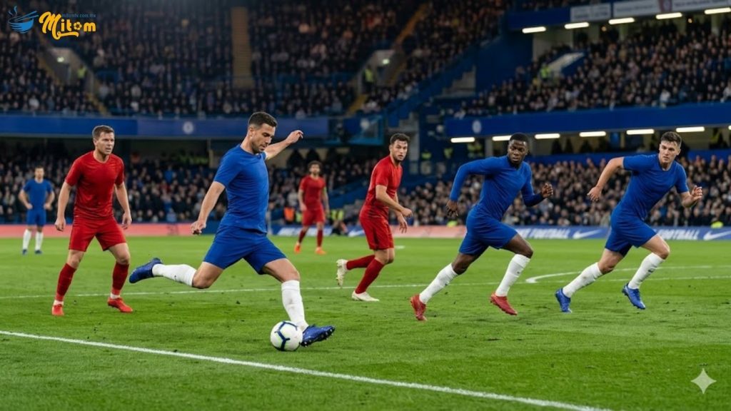 chuyen-trang-thai-transition