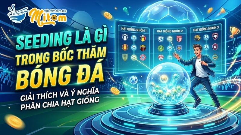 Giải mã chi tiết về Seeding Là Gì Trong Bốc Thăm Bóng Đá