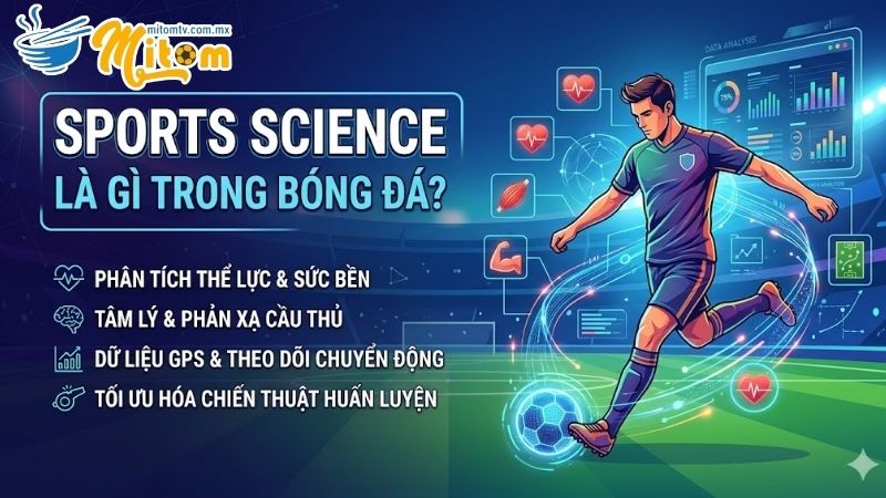 Định nghĩa và vai trò của khoa học thể thao
