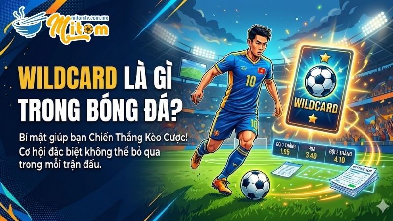 Tìm hiểu chi tiết Wildcard Là Gì Trong Bóng Đá cho tân thủ